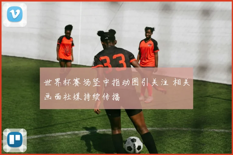 世界杯赛场竖中指动图引关注 相关画面社媒持续传播